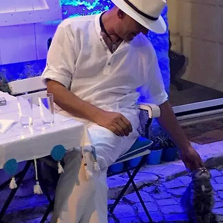 Imerek Stone House 2* אלאקאטי