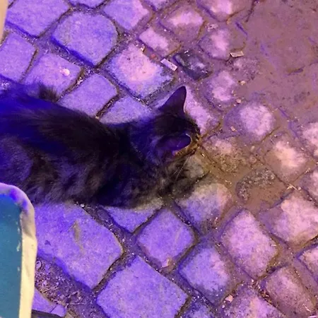 Pensión Imerek Stone House Alaçatı