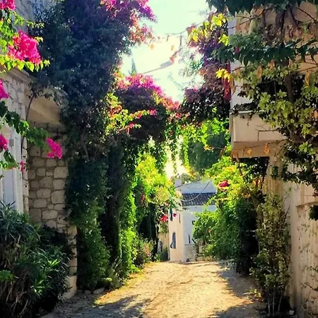 Imerek Stone House Pensión Alaçatı