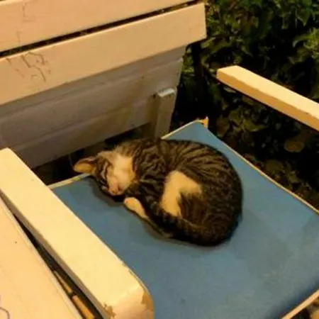 Imerek Stone House 게스트하우스 2*