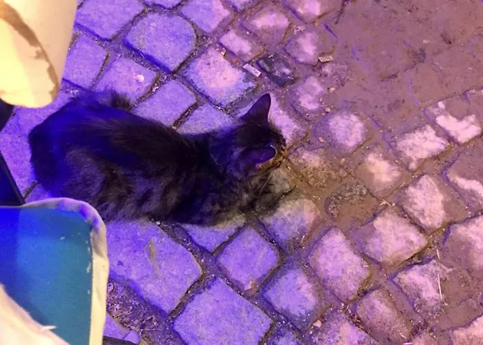 Pensión Imerek Stone House Alaçatı