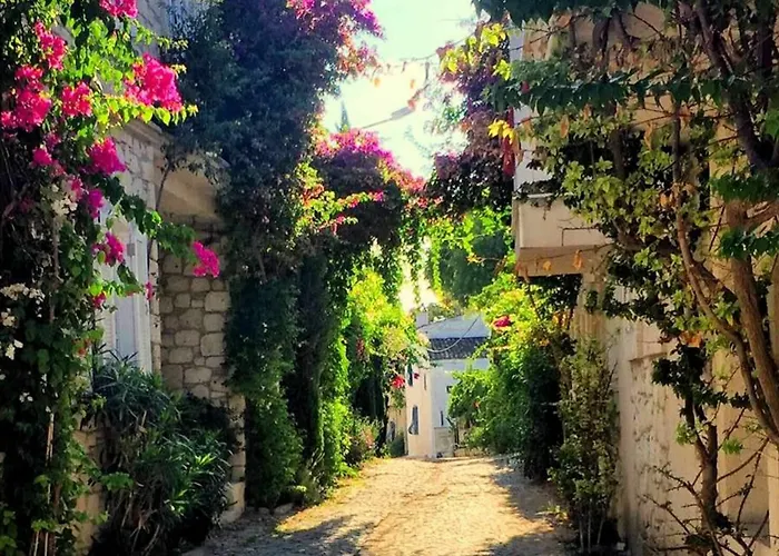 Imerek Stone House Gasthof Alaçatı